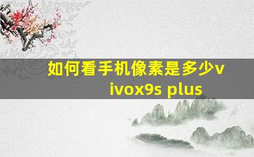 如何看手机像素是多少vivox9s plus